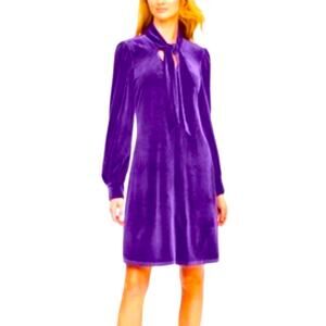 Calvin Klein size 12 velvet shift long sleeve woman’s dress